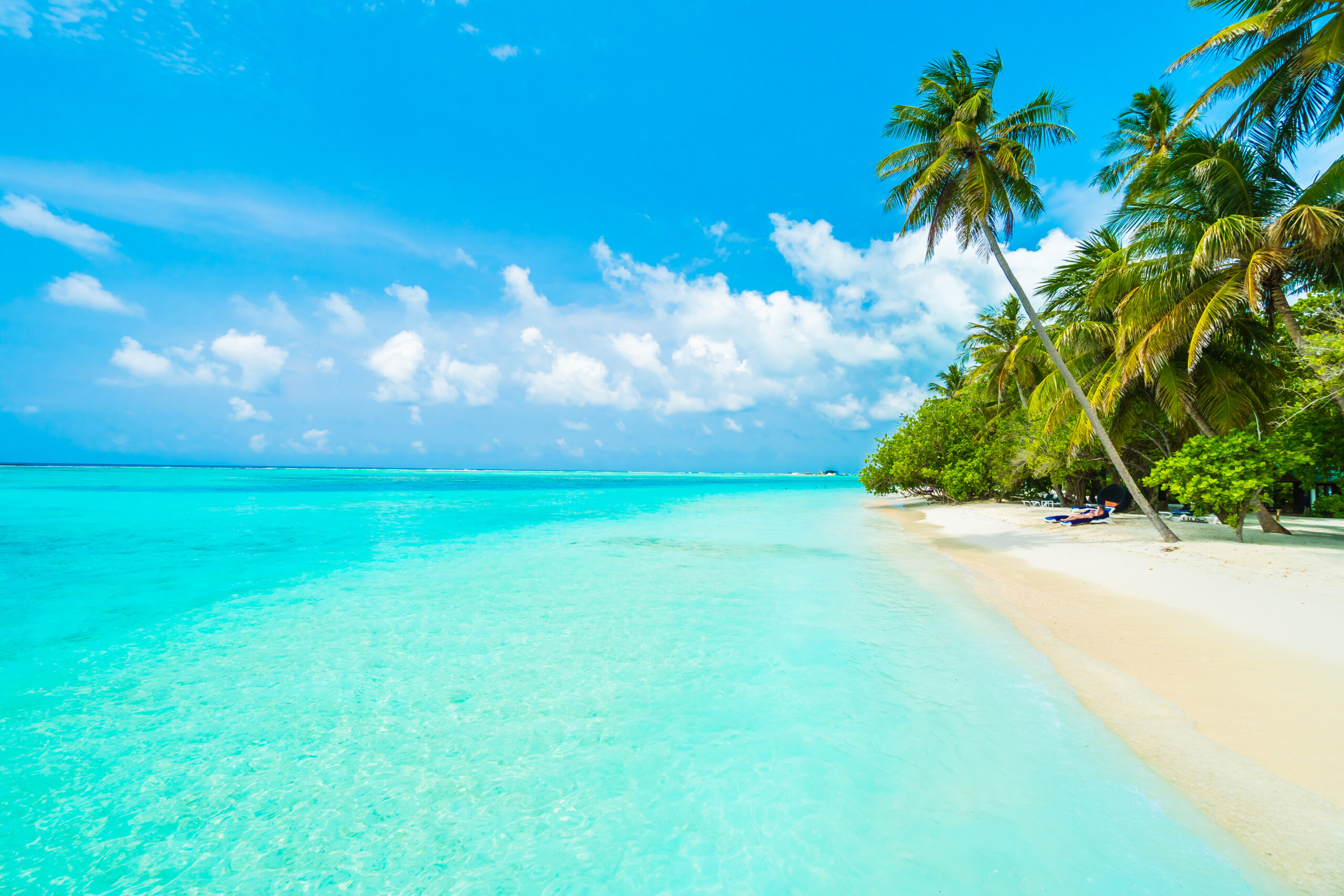 Beautiful tropical Maldives island with beach , sea , and coconut palm tree on blue sky for nature holiday vacation background concept -Boost up color Processing